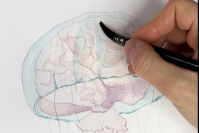 Autorské ilustrace - Jelly Brain